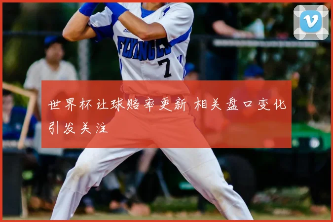 世界杯让球赔率更新 相关盘口变化引发关注