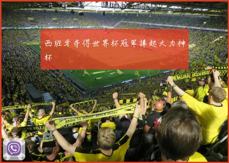 西班牙夺得世界杯冠军捧起大力神杯