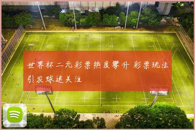 世界杯二元彩票热度攀升 彩票玩法引发球迷关注